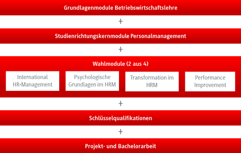 Grafik Studienverlauf BWL-Personalmanagement