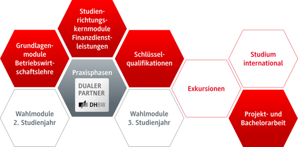 Grafik Studieninhalte BWL-Finanzdienstleistungen