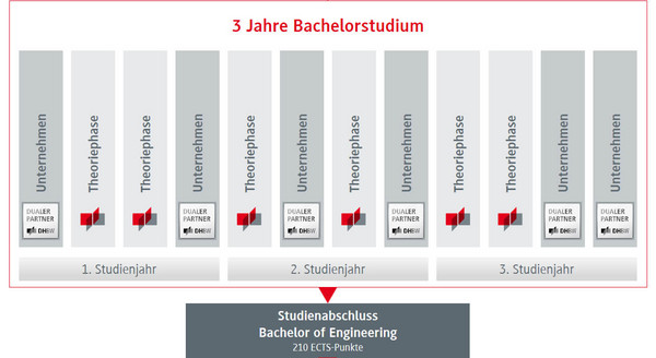 Grafik Studienverlauf