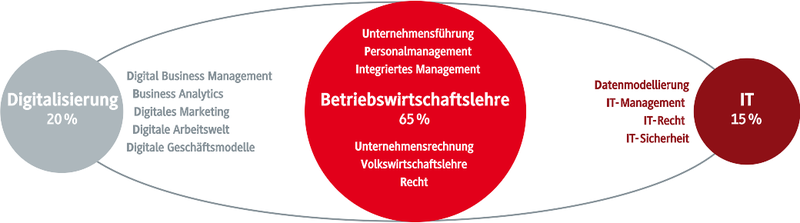 Studieninhalte: BWL, Digitalisierung und IT