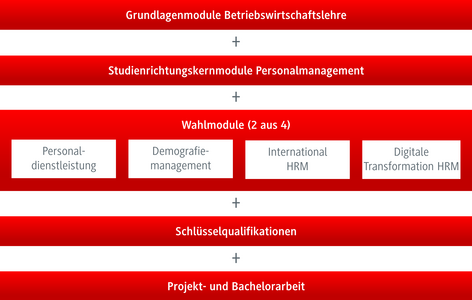 Grafik Studienverlauf BWL-Personalmanagement