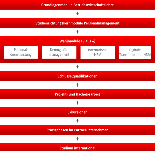 Grafik Studienverlauf BWL-Personalmanagement